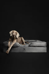 NOAH & PAW XL orthopedic memory foam core supports joints and stability.