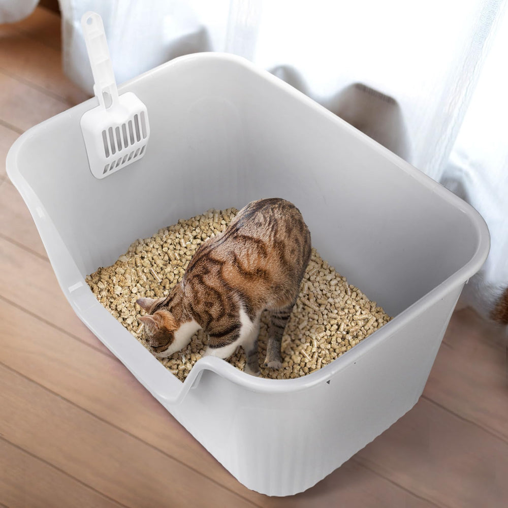 Noamus multi-cat friendly litter box supports shared space.