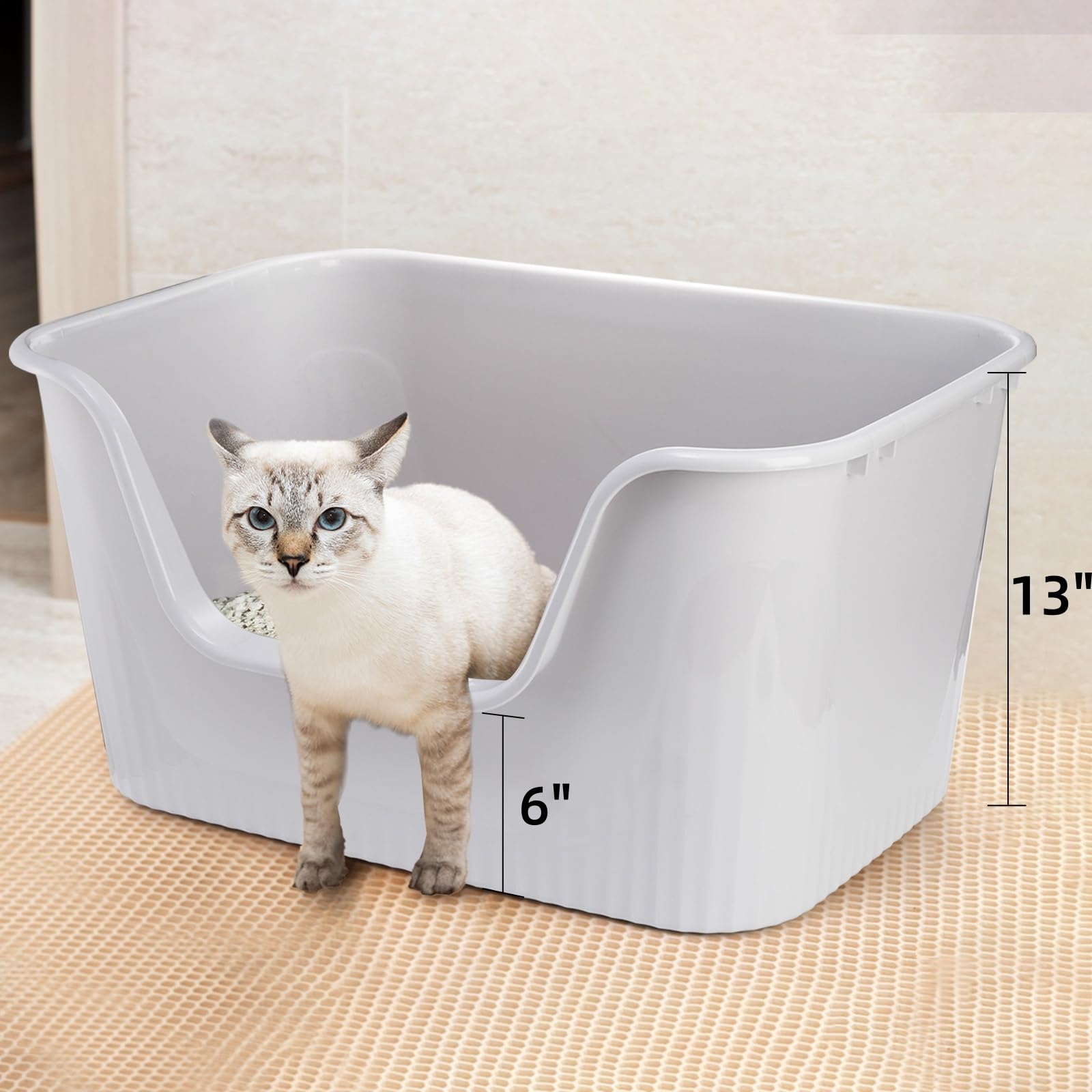 Noamus open-air ventilation litter box allows easy monitoring.