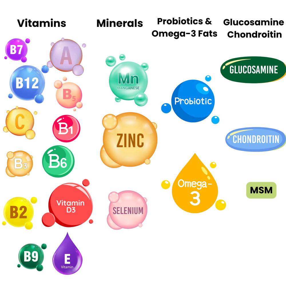 Noble Beast digestive enzymes and probiotics graphic illustrating gut support features
