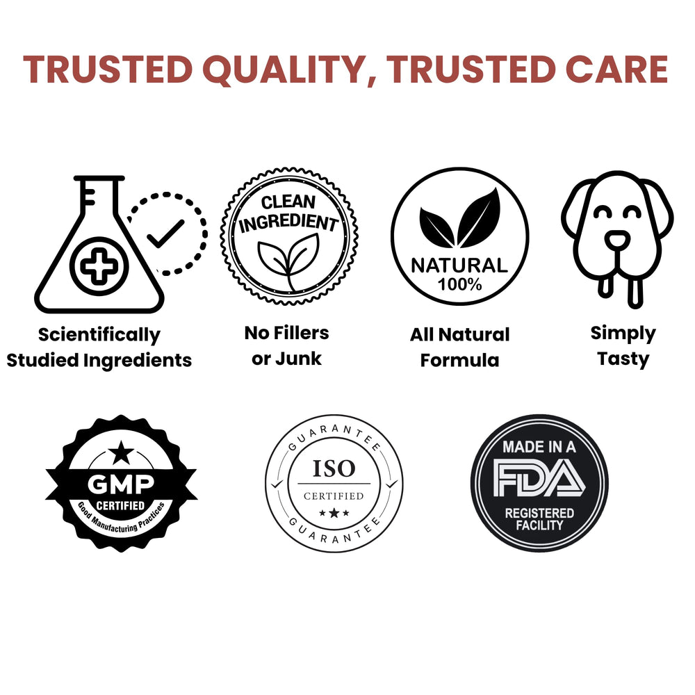Noble Beast immune and skin coat support chews for coat vibrancy and resilience