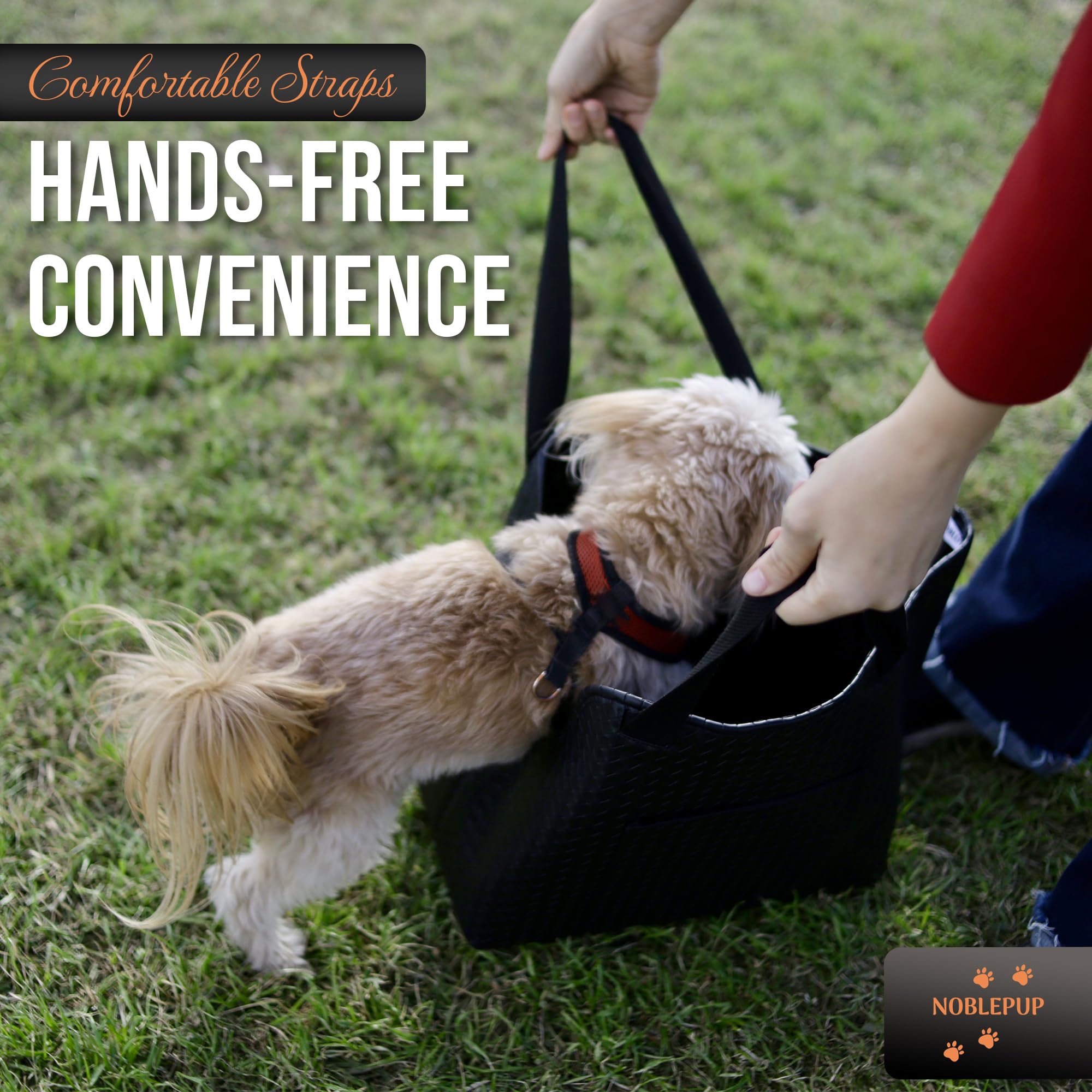 NoblePup interior safety tether clips to harness to prevent escapes.