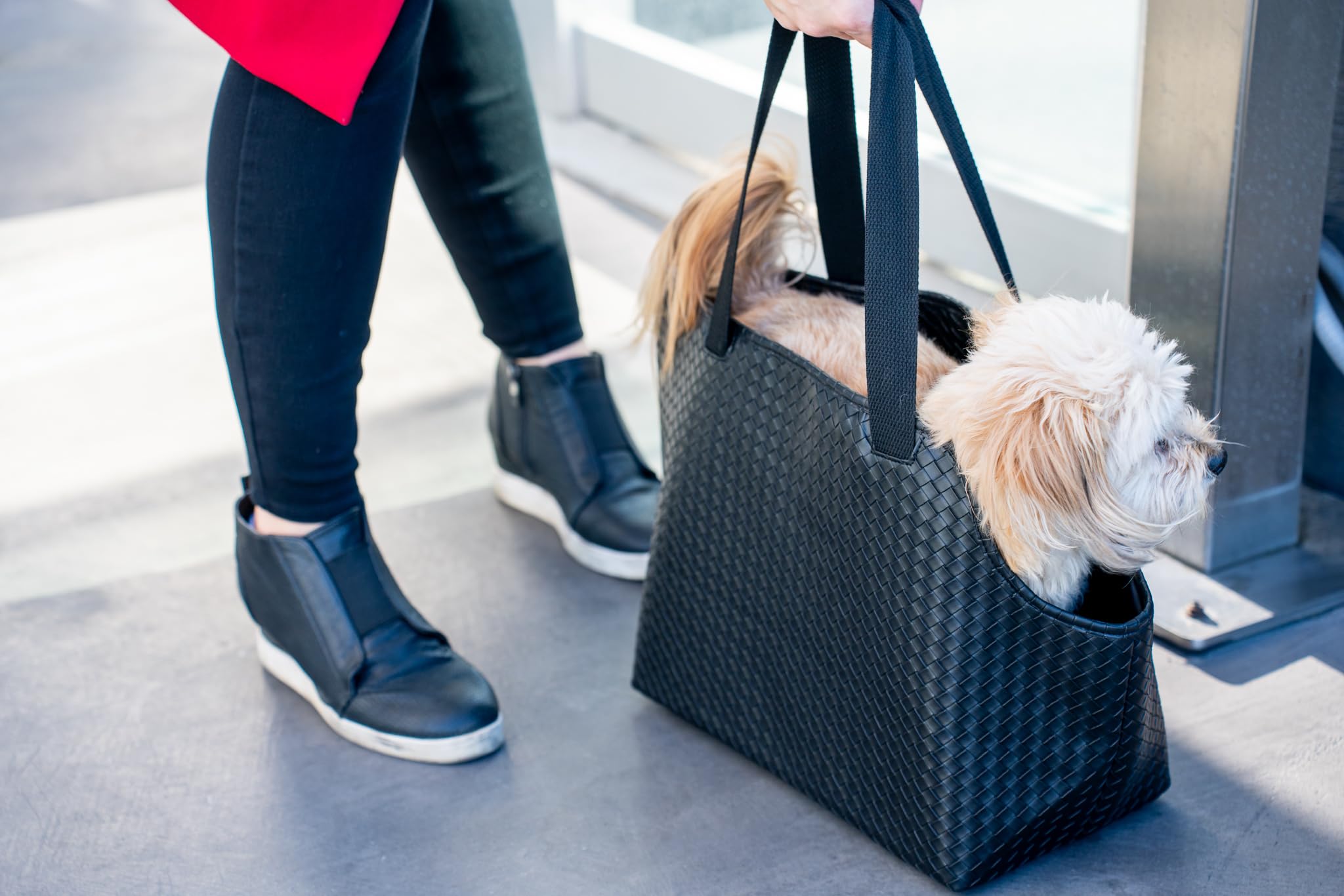 NoblePup two padded shoulder straps distribute weight for hands-free carry.