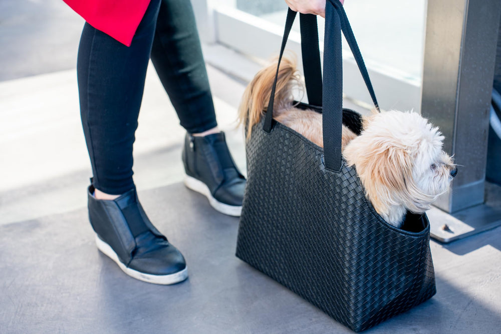 NoblePup two padded shoulder straps distribute weight for hands-free carry.