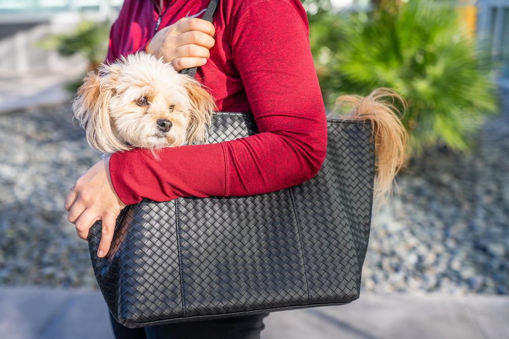 NoblePup faux leather texture and polished exterior elevate boujee style.