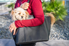 NoblePup faux leather texture and polished exterior elevate boujee style.