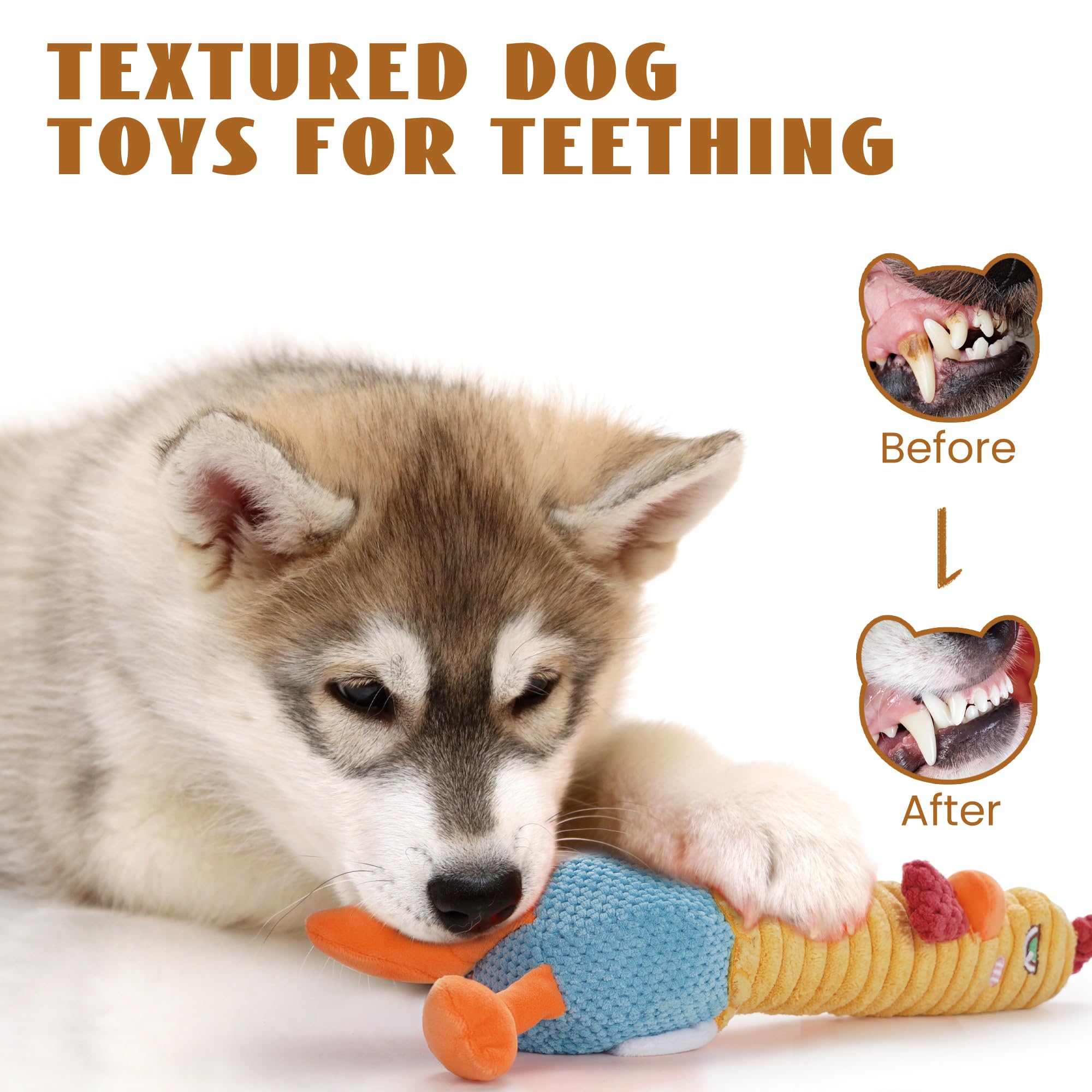 Nocciola dimensions-11in highlights size suitable for small to large dogs.