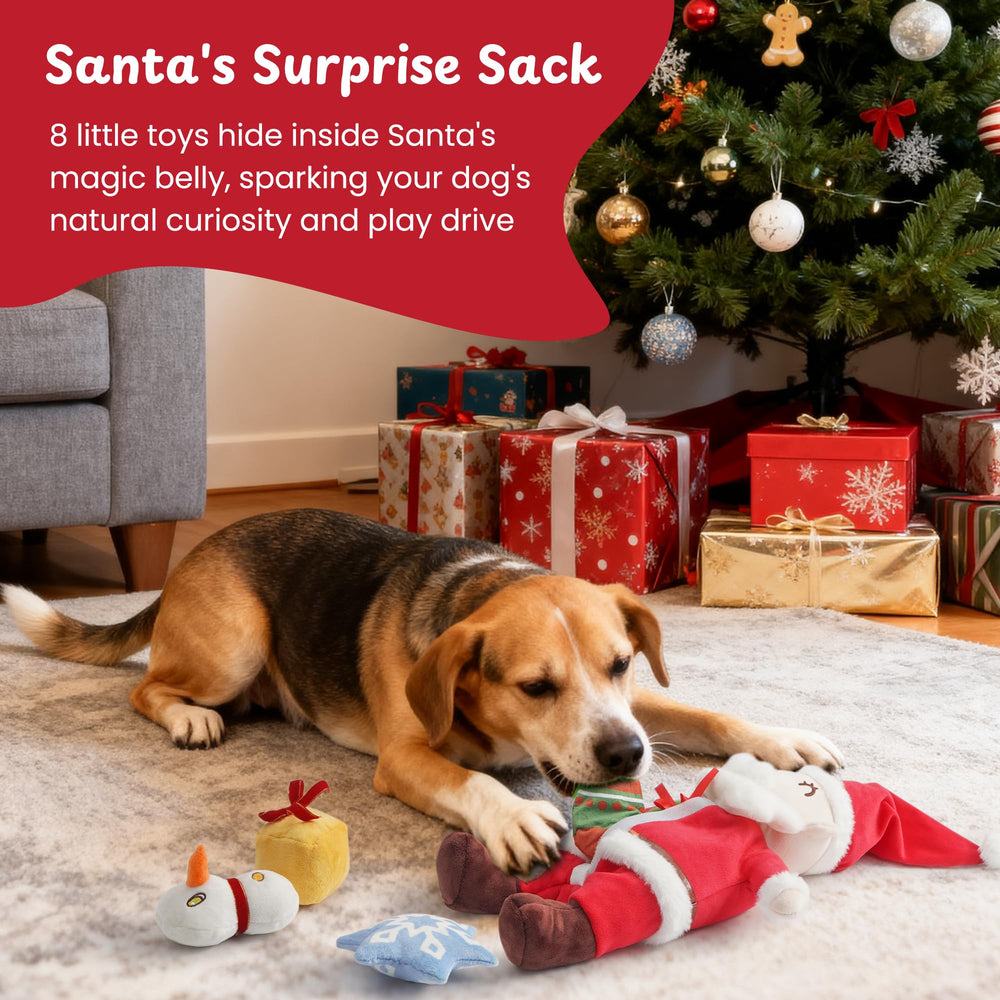 Nocciola 9-in-1 Christmas toy blends multiple play modes for varied canine stimulation.