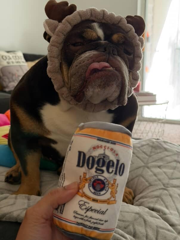 Nocciola beer can toy squeaker invites lively play and audial cues.