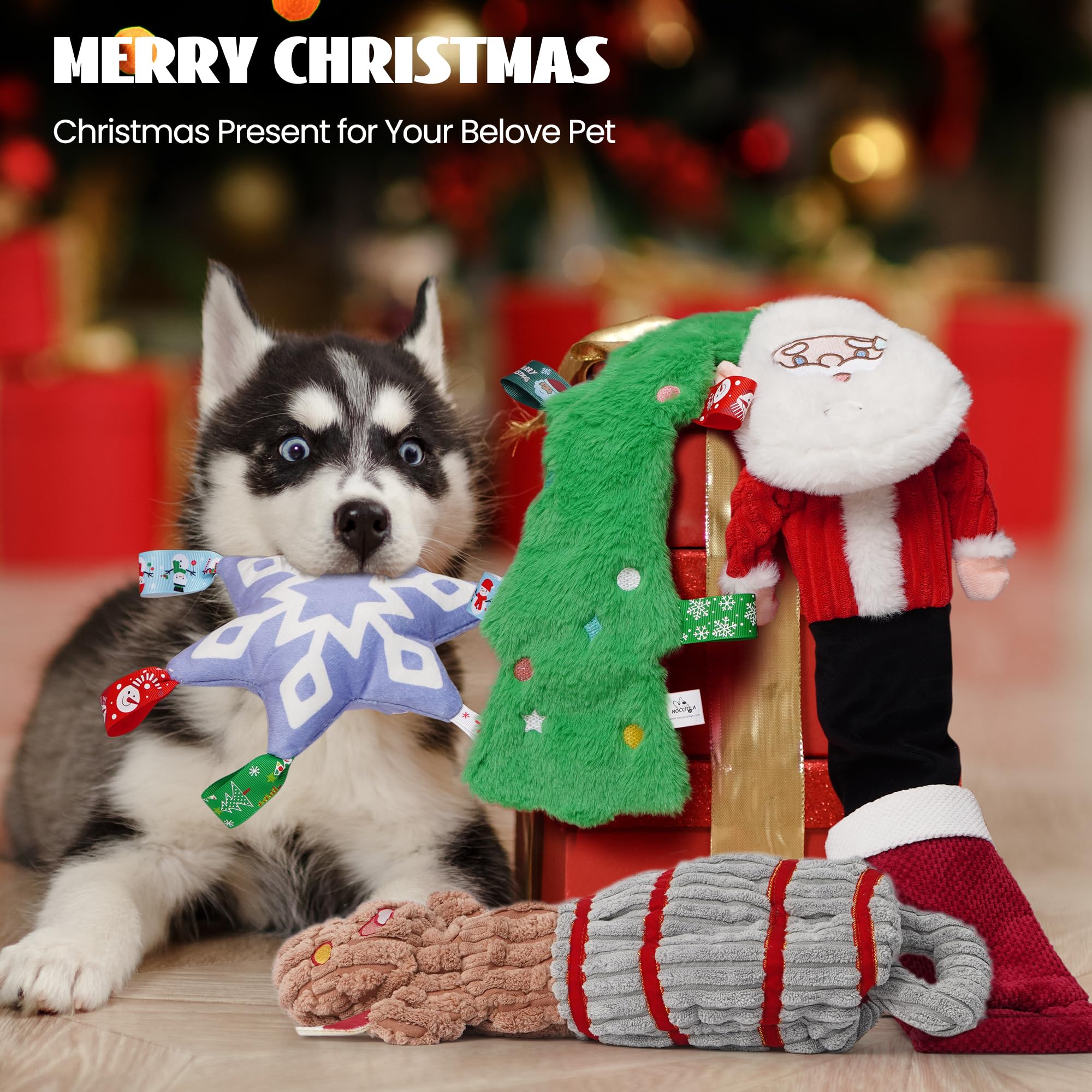 Nocciola Four-Pack set showcases festive fun for multiple dogs.