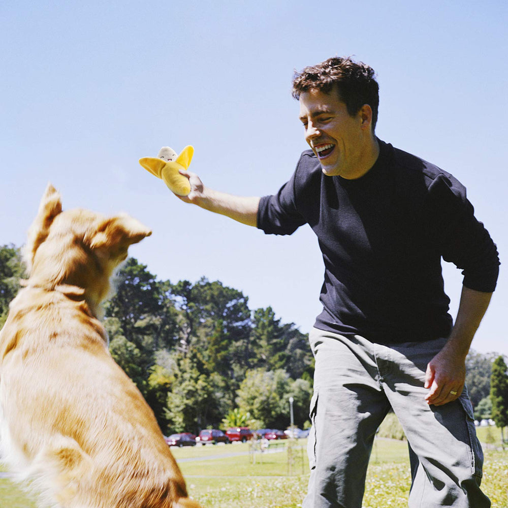 Nocciola dog squeaky toys pumpkin shape supports gentle chewing and boredom relief.