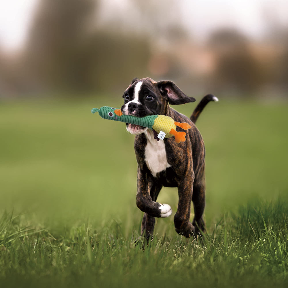 Nocciola duck toy crinkle-layer exterior sparks curiosity during fetch.