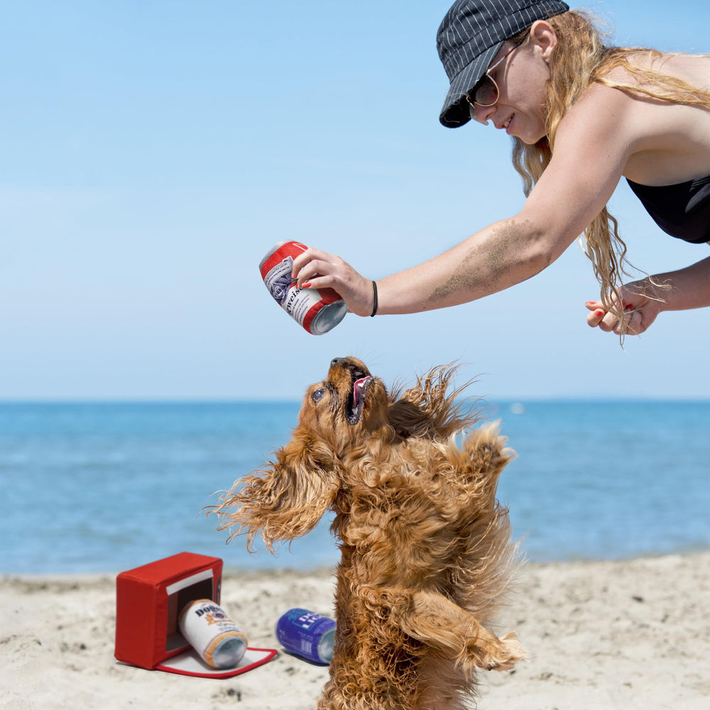 Nocciola gift-pack dog toy for birthdays or holidays.
