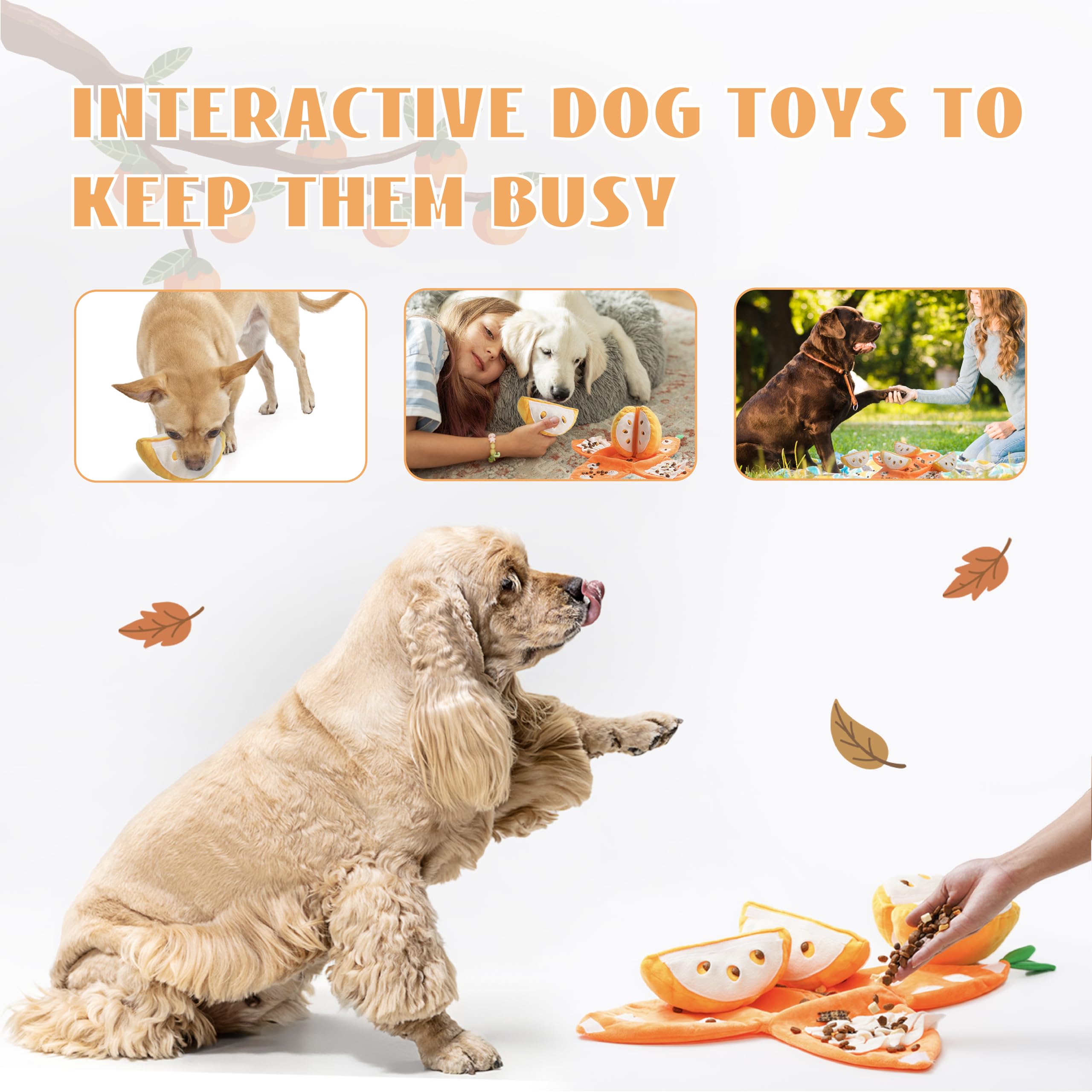 Nocciola Hidden surprises boost engagement during play sessions.
