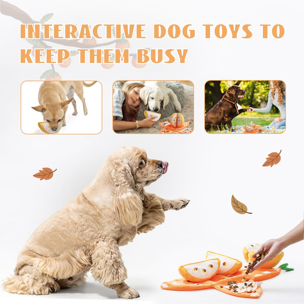 Nocciola Hidden surprises boost engagement during play sessions.