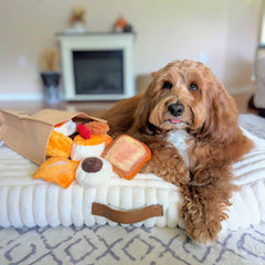Nocciola hide-a-treat pocket toy encourages sniffing and problem-solving during treat time
