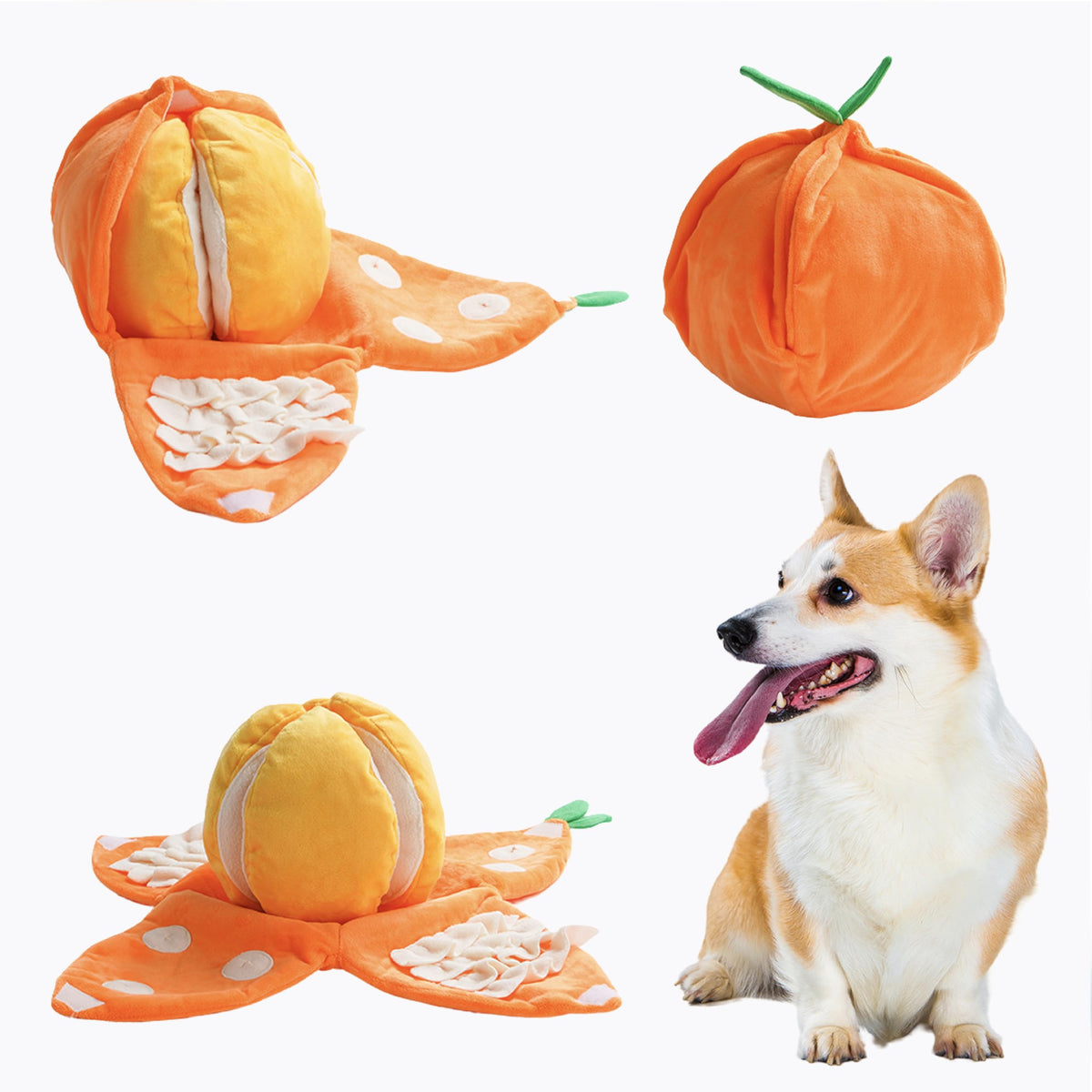 Nocciola Hide and Seek plush dog toy in orange tangerine with hidden pockets for sniffing play.