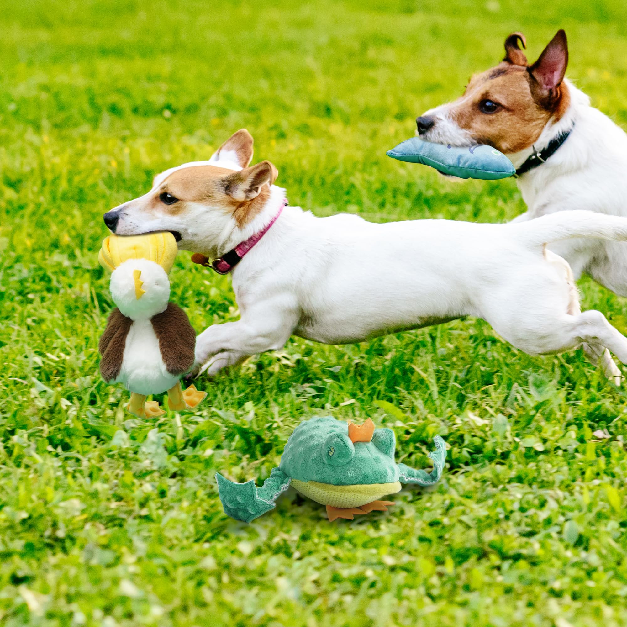 Nocciola plush dog toy is machine-washable for easy cleanup