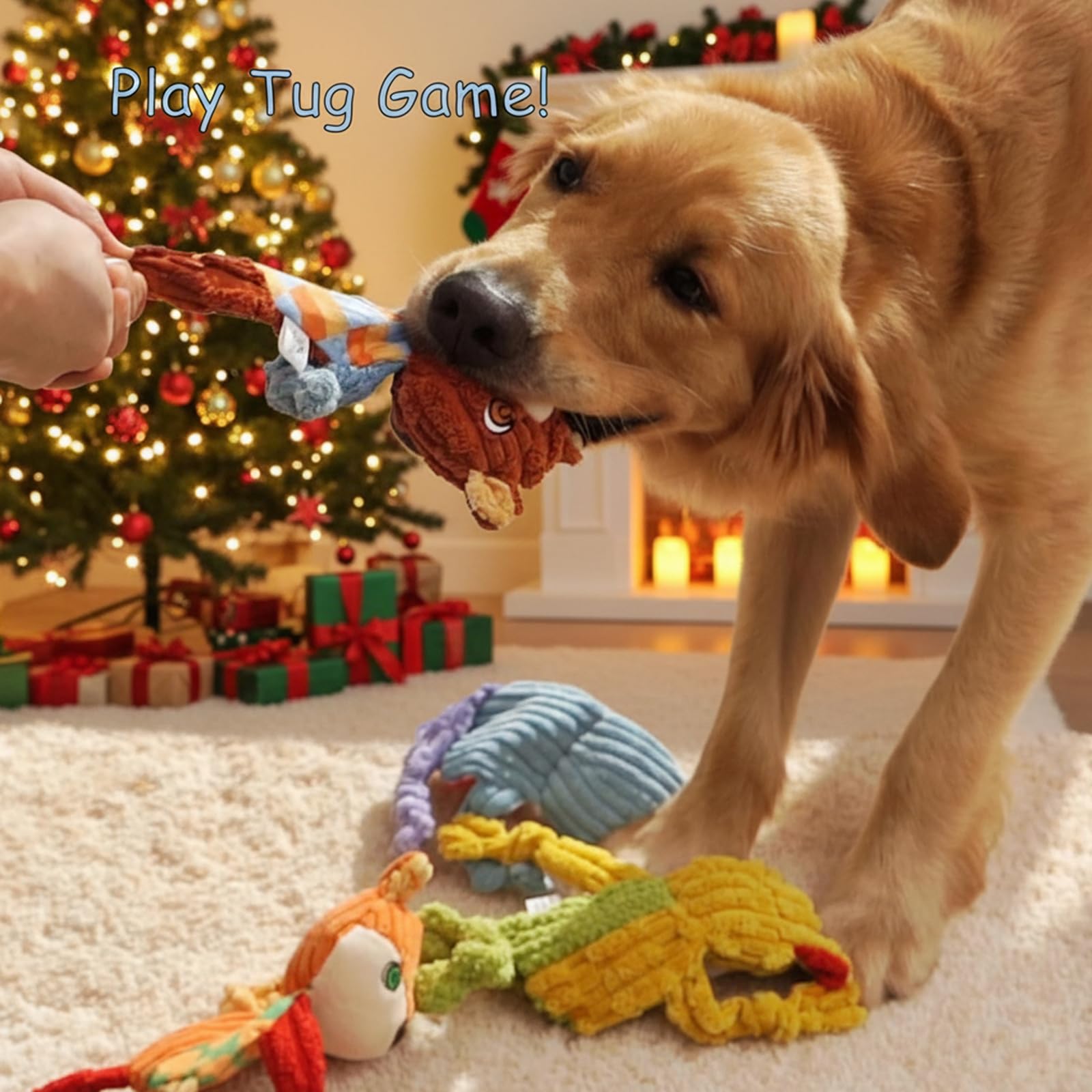 Nocciola small-to-medium dog toy ideal for fetch, training rewards, and calm time.