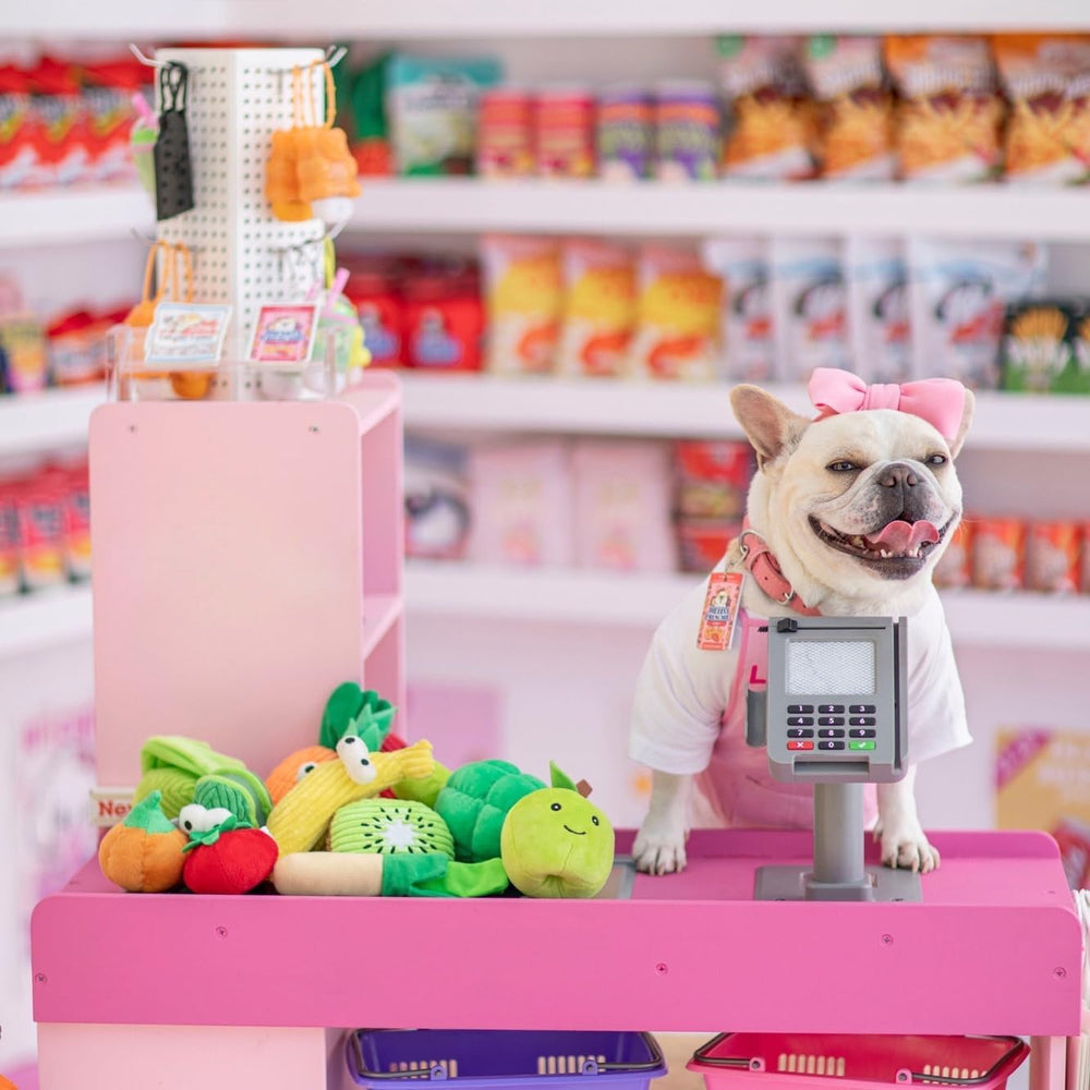 Nocciola small fruit-shaped dog toys for puppies encourage exploration.