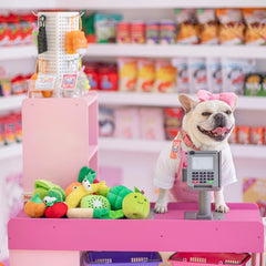 Nocciola small fruit-shaped dog toys for puppies encourage exploration.