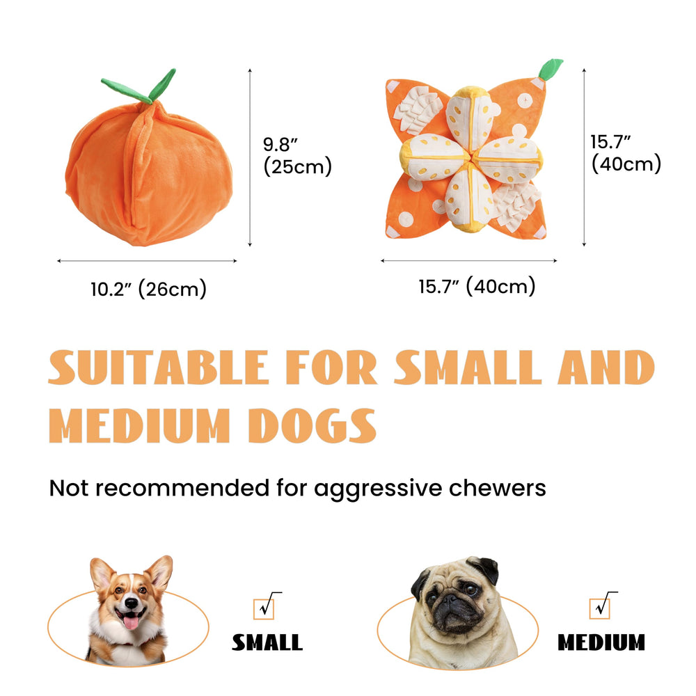 Nocciola Soft plush material provides safe chewing for small and medium dogs.
