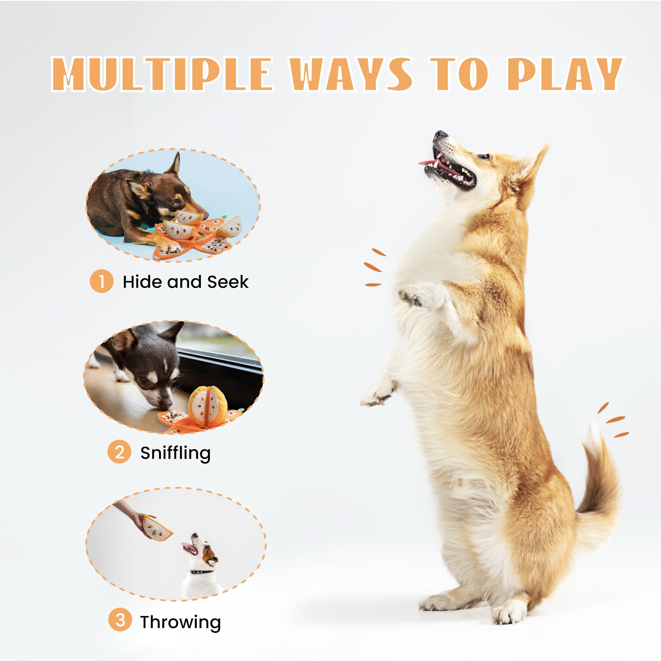 Nocciola Squeaky crinkle toy engages with sounds to entertain dogs.