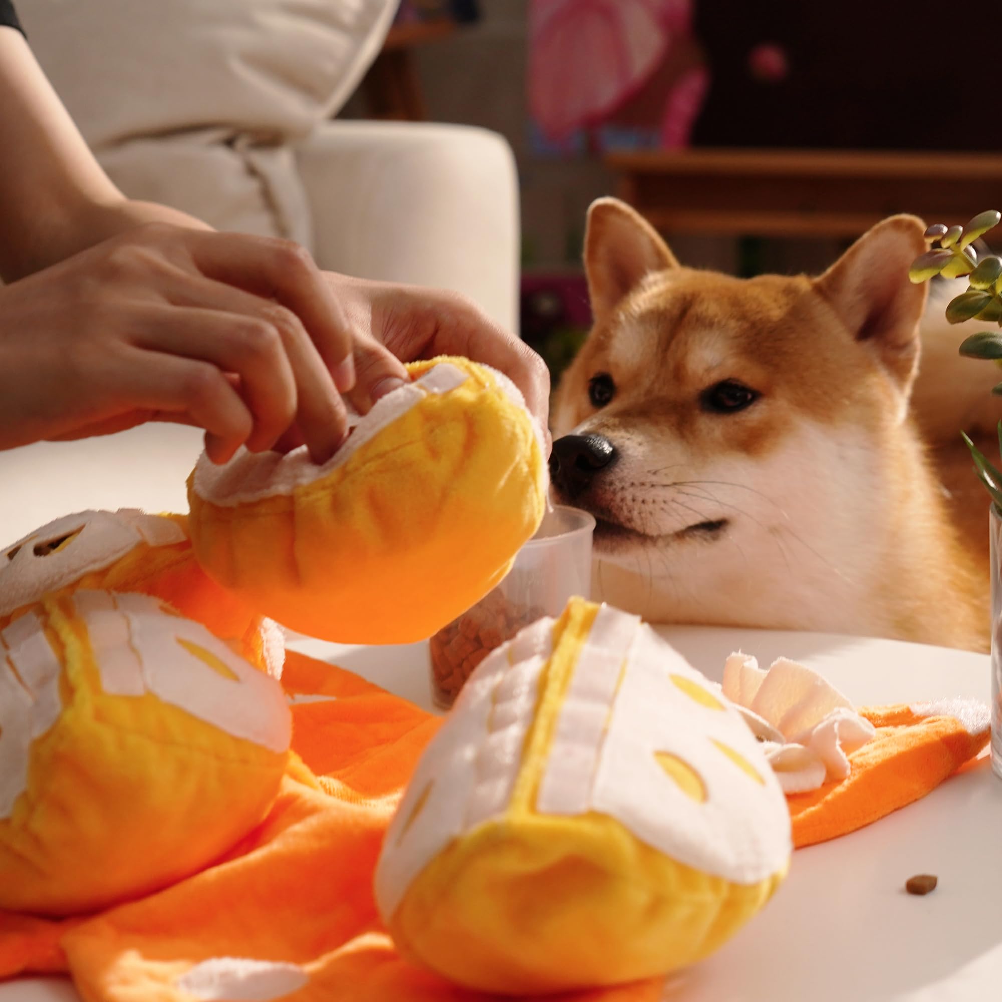 Nocciola Tangerine dog toy close-up shows four slices for interactive fun.