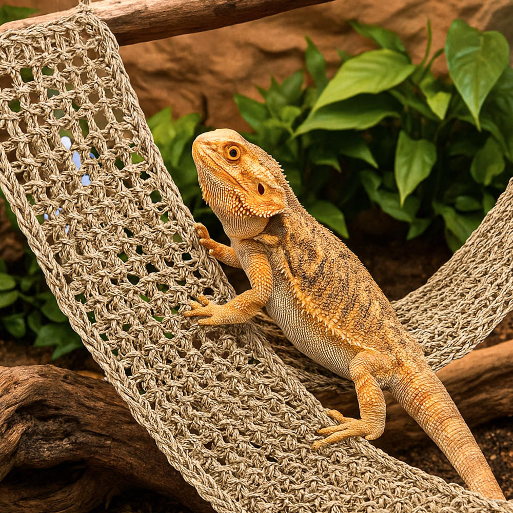 Nodaaiie hammock in use demonstrates restful lounging and temperature positioning near heat sources.