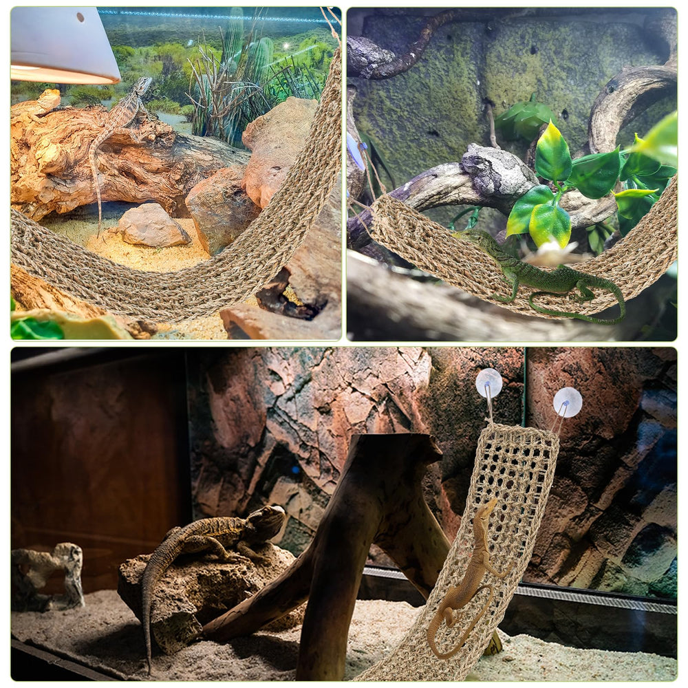 Nodaaiie hammock multi-level habitat promotes activity and natural climbing in reptiles.