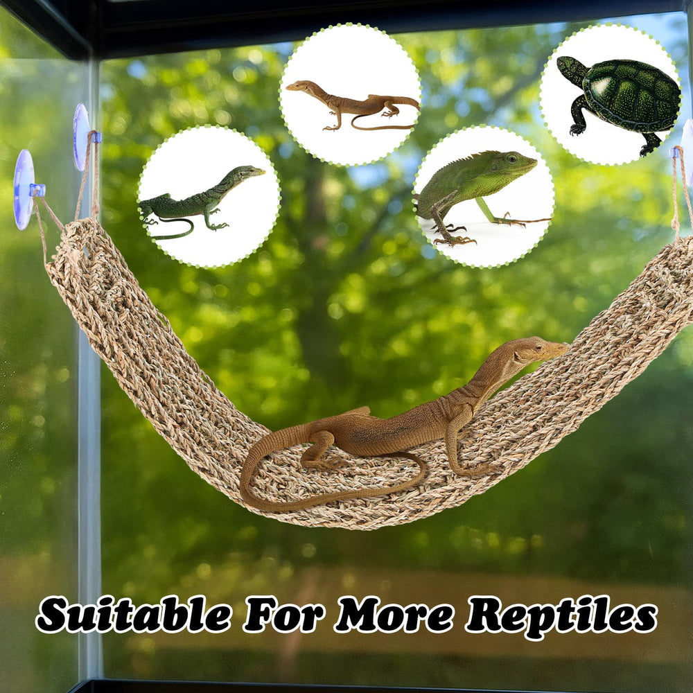 Nodaaiie reptile habitat decor jungle theme enriches terrarium aesthetics and exploration.