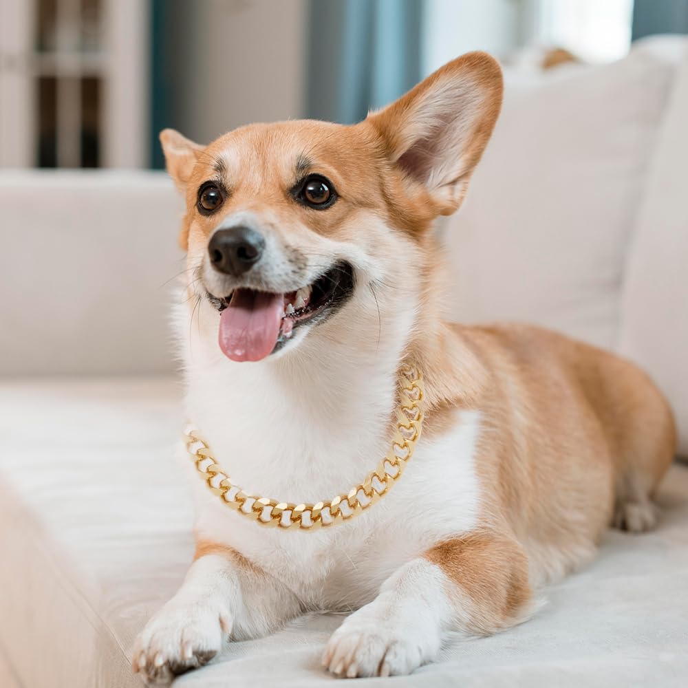 NOERGDRLY 18k gold plating detail highlights smooth surface and elegant look for dogs.