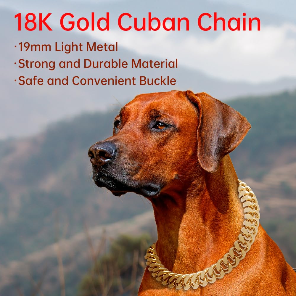 NOERGDRLY dog collar worn by a small dog demonstrates lightweight comfort with style and ease.