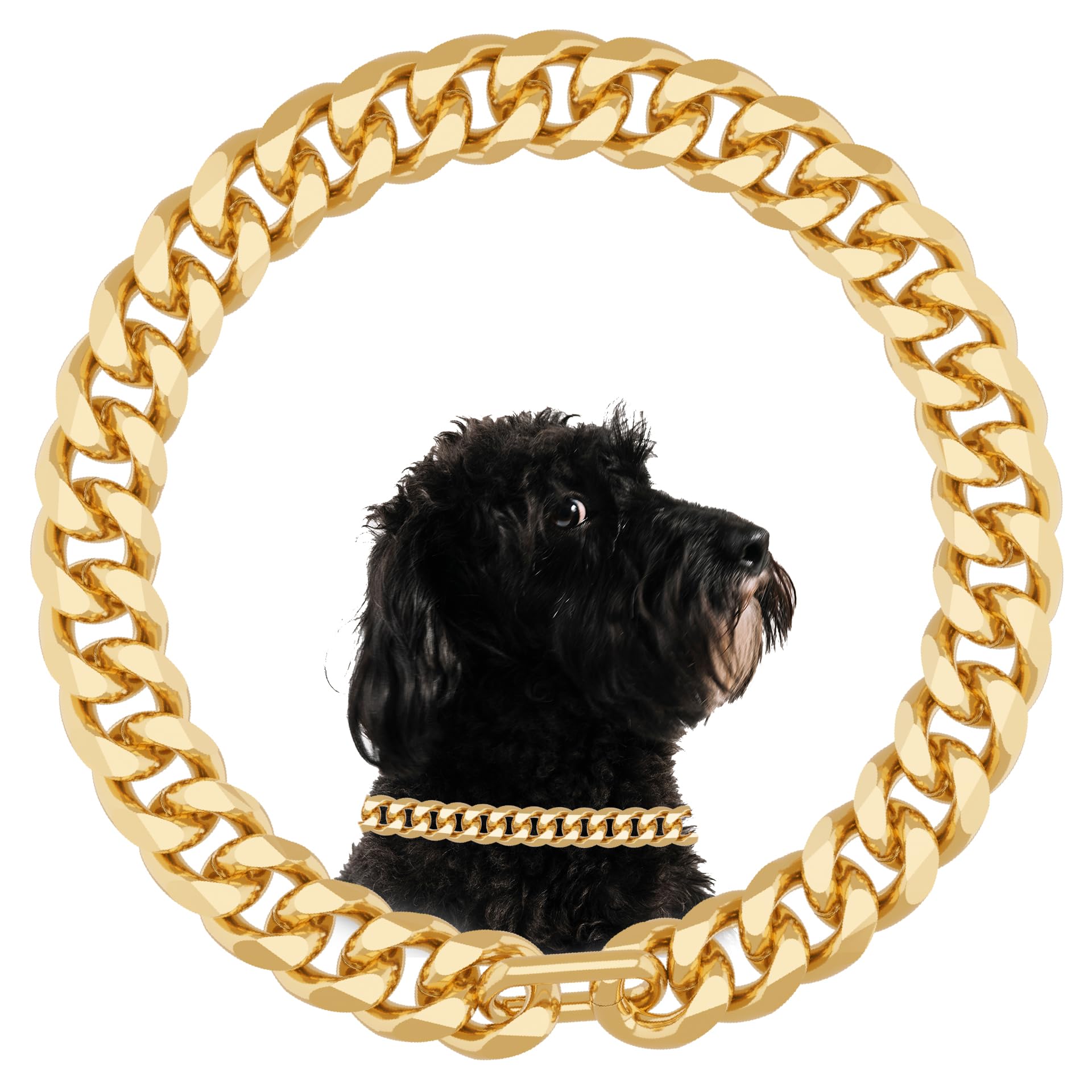 NOERGDRLY Gold Cuban chain dog collar close-up shows luxury plating and sturdy construction for daily wear.