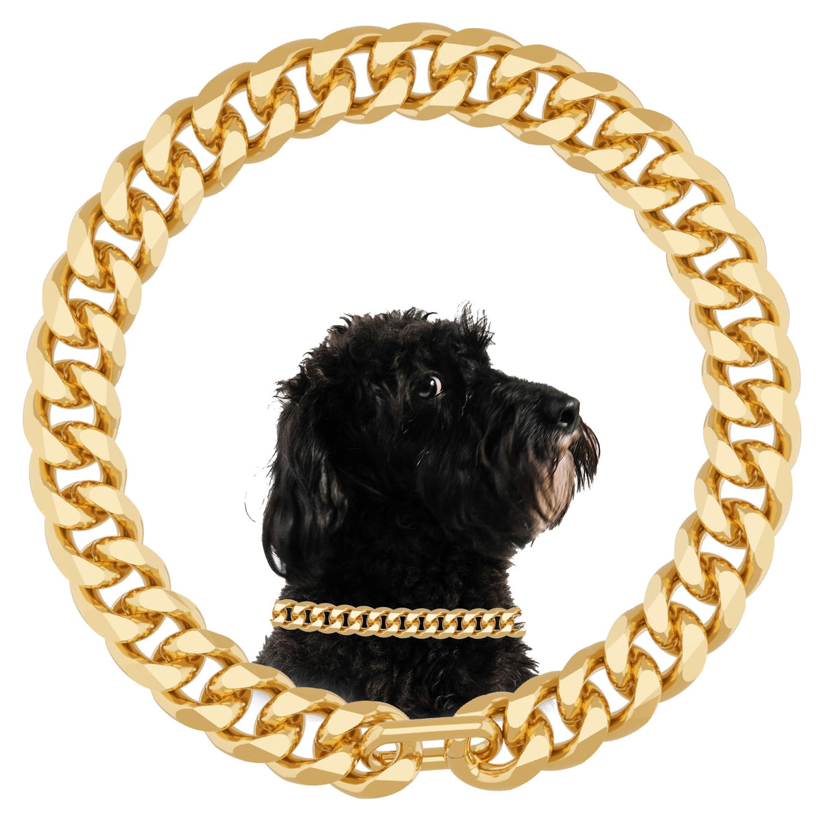 NOERGDRLY Gold Cuban chain dog collar close-up shows luxury plating and sturdy construction for daily wear.