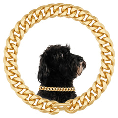 NOERGDRLY Gold Cuban chain dog collar close-up shows luxury plating and sturdy construction for daily wear.