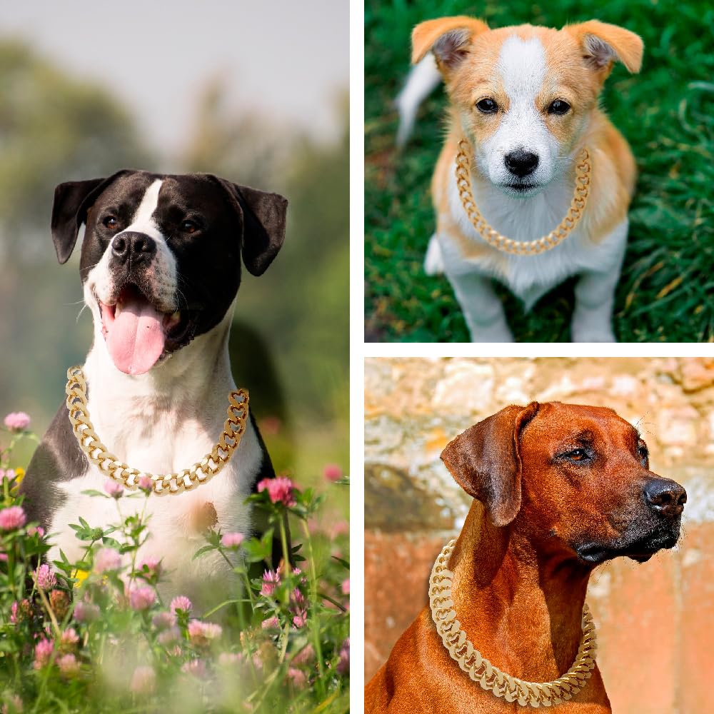 NOERGDRLY luxury dog collar on a wood display suitable for versatile daily wear.
