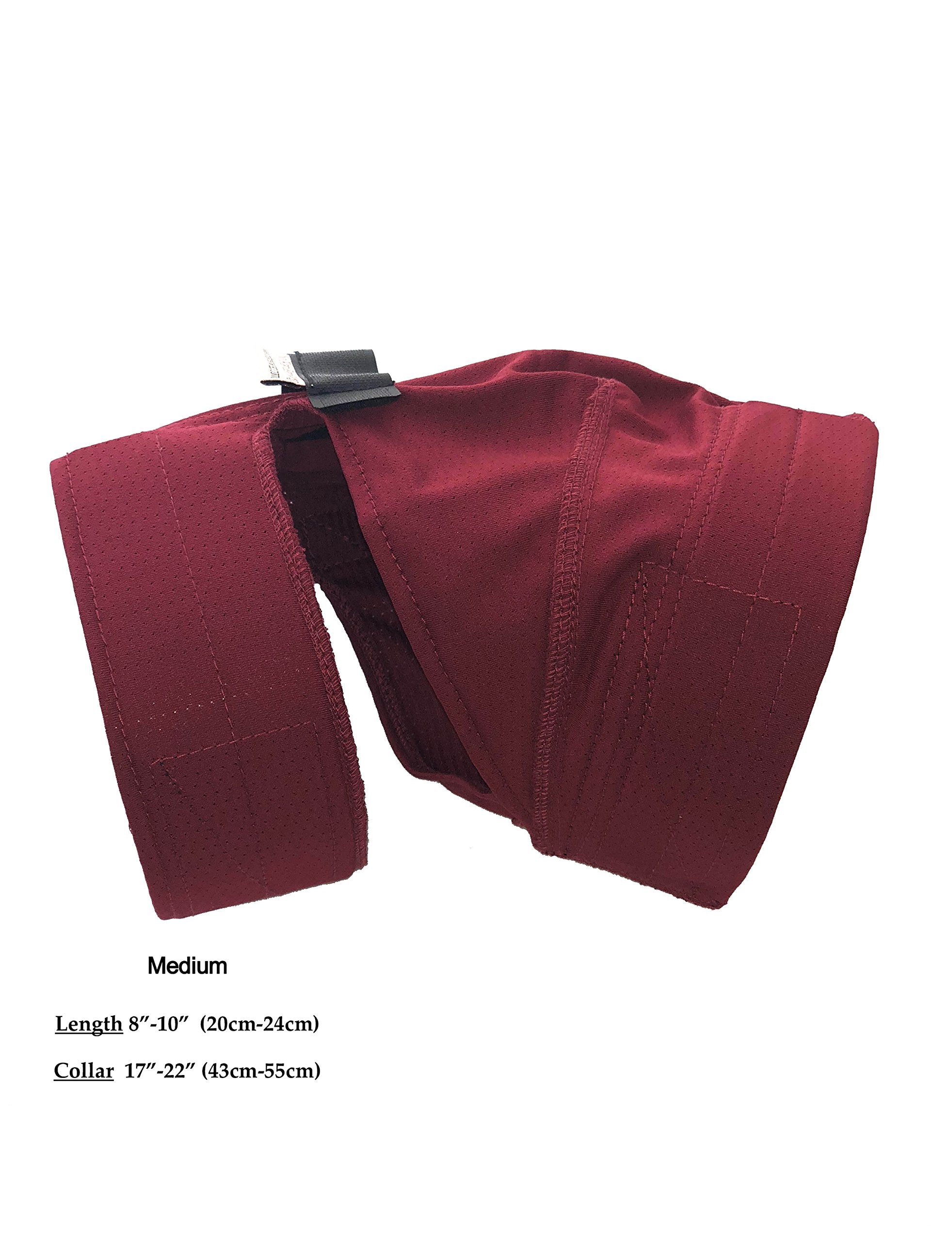 No Flap ear wrap dog-activity view emphasizes comfortable wear through doors, meals, and play