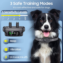 NOIDECE Bark Collar on a medium dog showcasing comfortable nylon strap