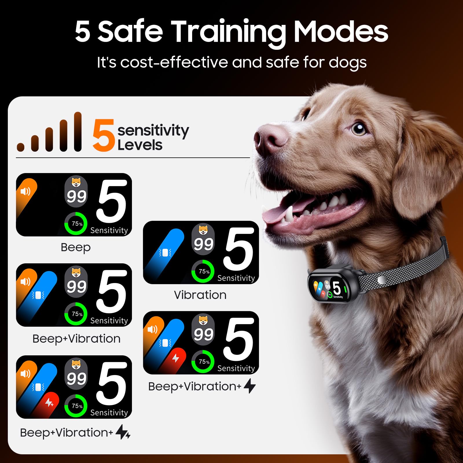 NOIDECE Bark Collar worn by dog during daily walks demonstrates comfortable wear and calm communication.