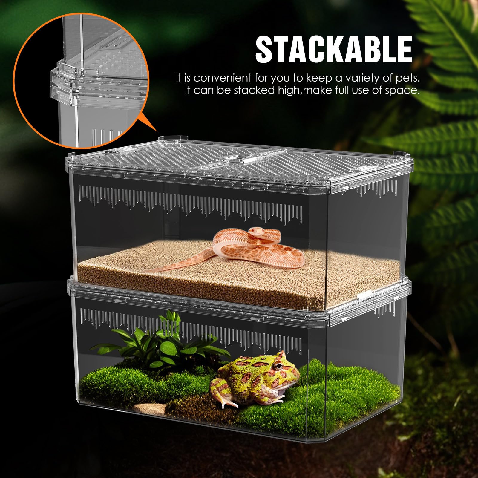 NOMOY Faunarium with 9.29 by 6.14 by 4.72 inches offers roomy space