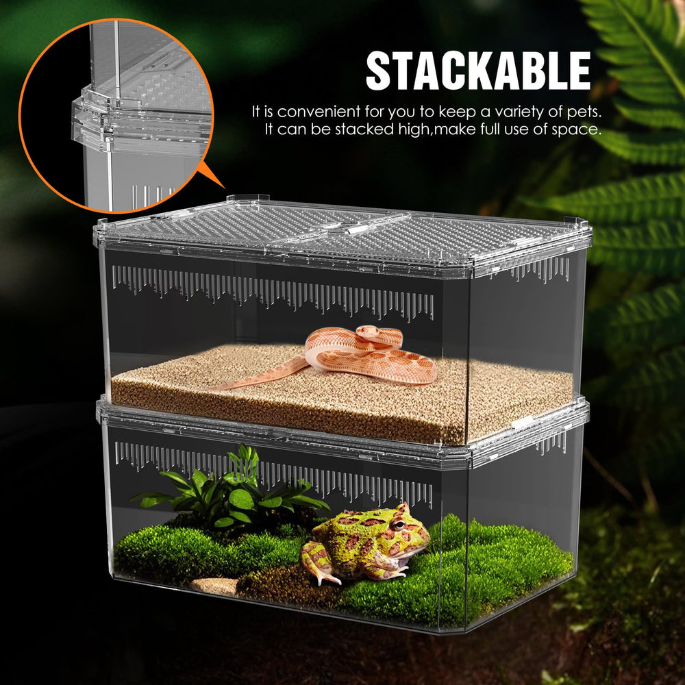 NOMOY Faunarium with 9.29 by 6.14 by 4.72 inches offers roomy space
