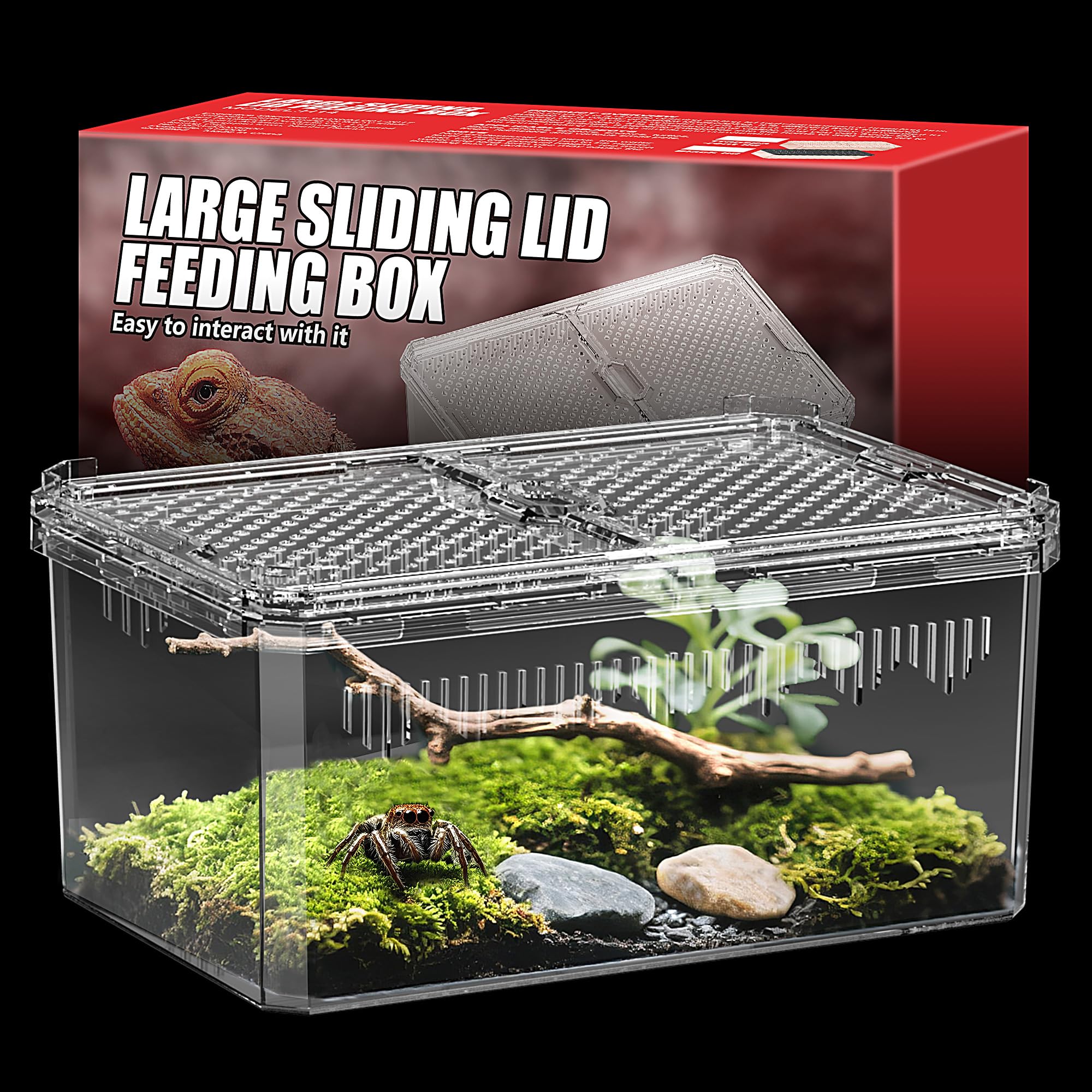 NOMOY Faunarium front view shows clear walls for easy observation of your pet