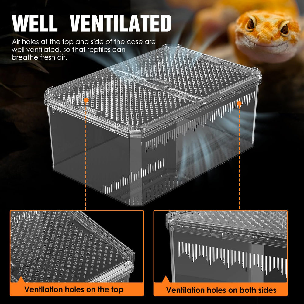 NOMOY Faunarium multi-use habitat adapts for turtles, tarantulas, spiders, and more
