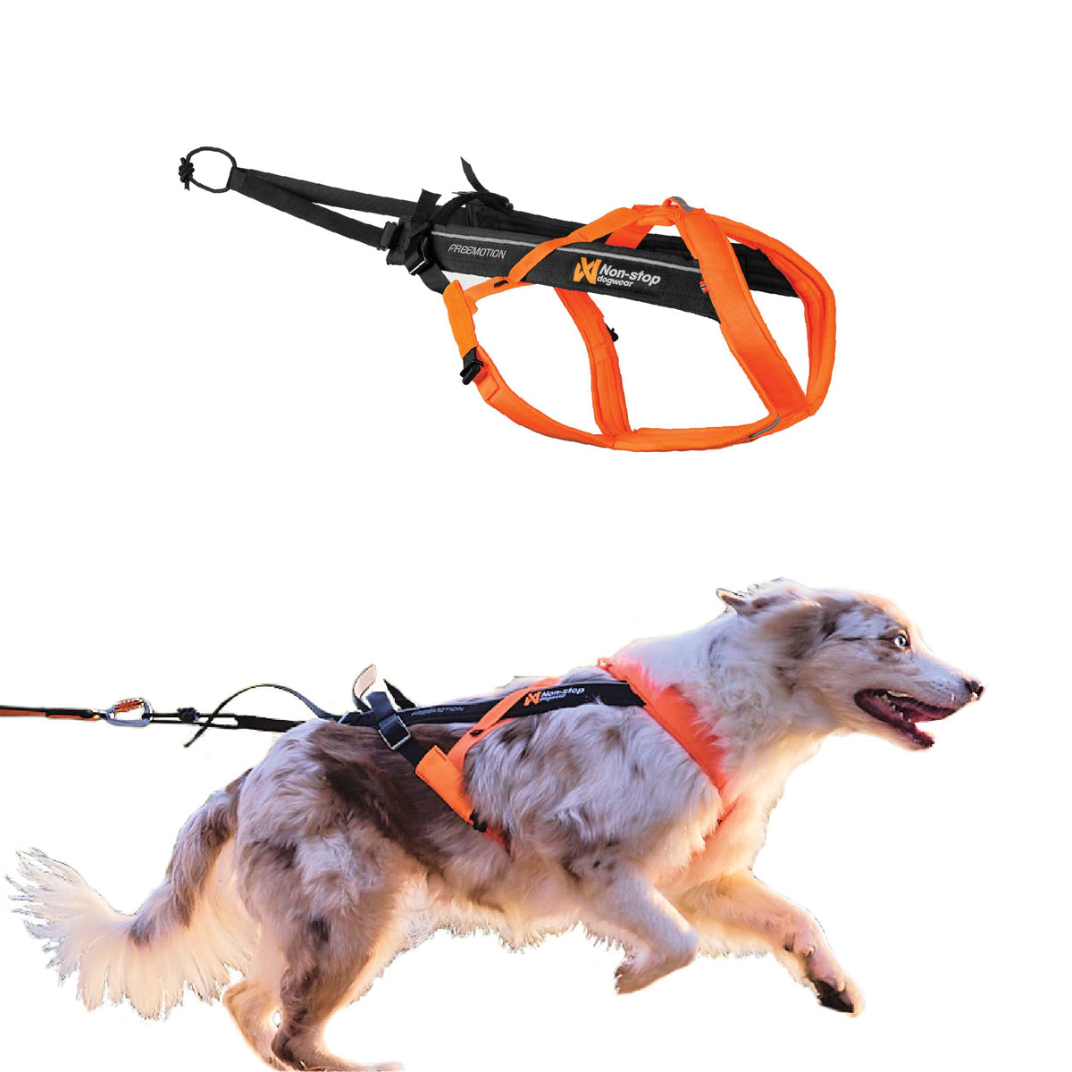 Non-stop dogwear Freemotion Harness front view shows ergonomic design for movement during runs