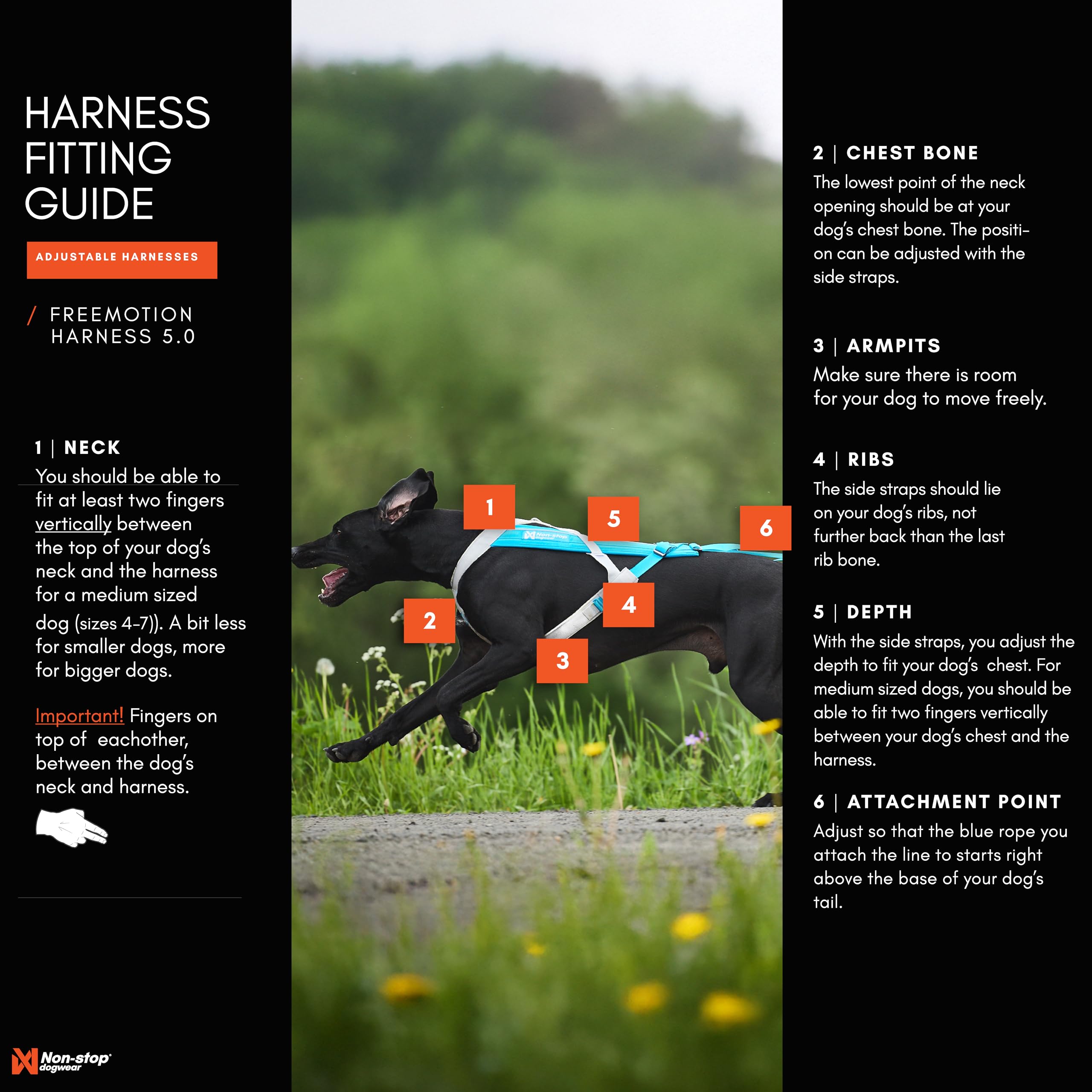 Non-stop dogwear Freemotion Harness padded neck area for stability during fast training