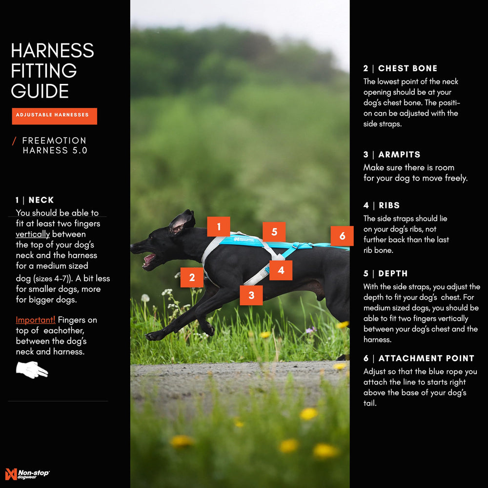 Non-stop dogwear Freemotion Harness padded neck area for stability during fast training