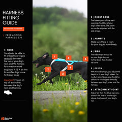 Non-stop dogwear Freemotion Harness padded neck area for stability during fast training