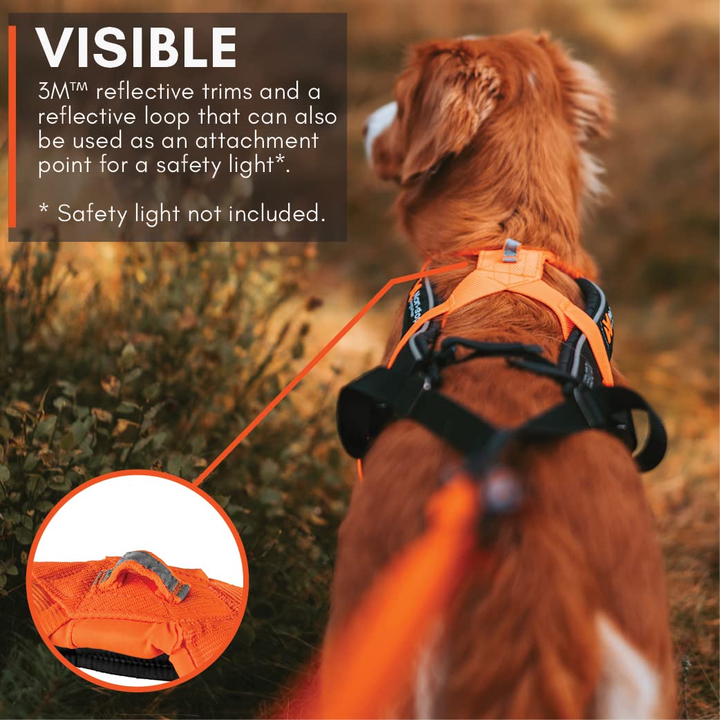 Non-stop dogwear Freemotion Harness reflective loop enables extra safety with lights