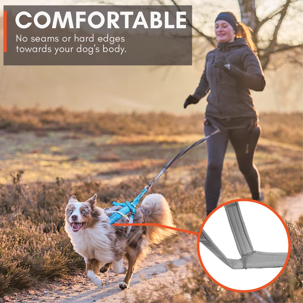 Non-stop dogwear Freemotion Harness reflective piping improves visibility in low light